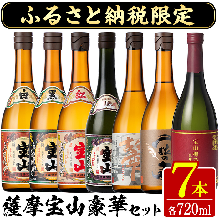 No.489 ふるさと納税限定！人気の焼酎！薩摩宝山豪華セット(