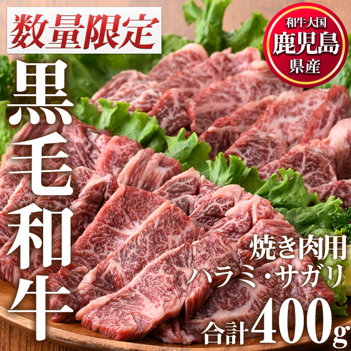 No.831 ＜数量限定＞鹿児島県産黒毛和牛焼肉セット(合計400g
