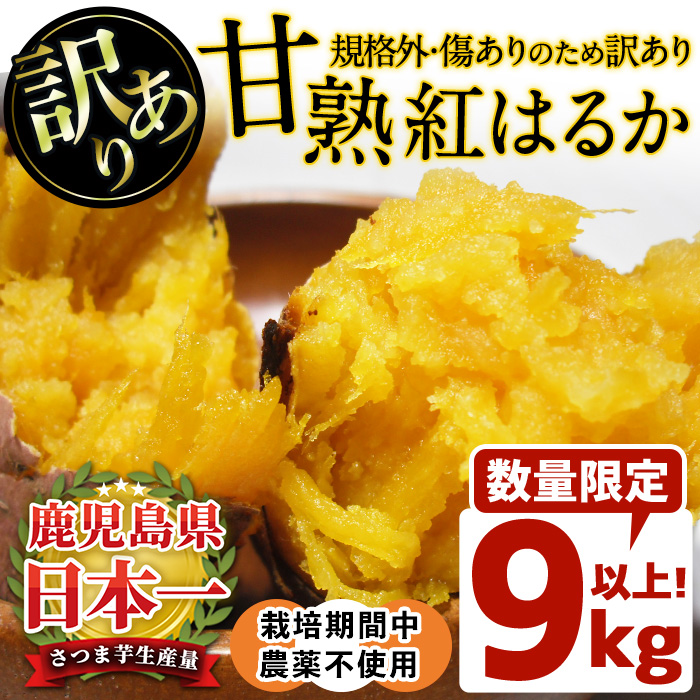 No.892 ＜訳あり・規格外＞栽培期間中農薬不使用 甘熟さつま