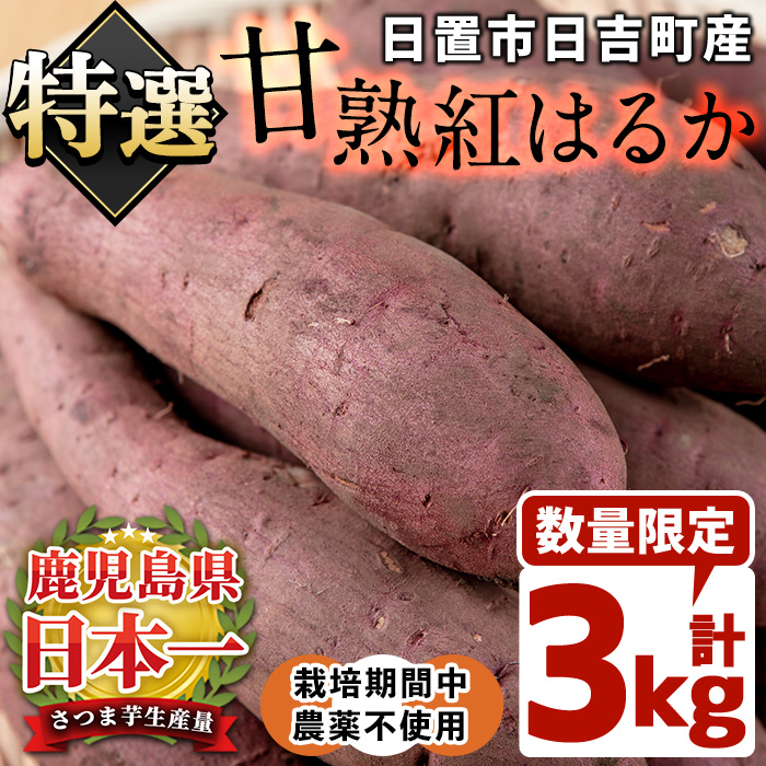 No.433 ＜先行予約受付中！＞鹿児島県産！栽培期間中農薬不