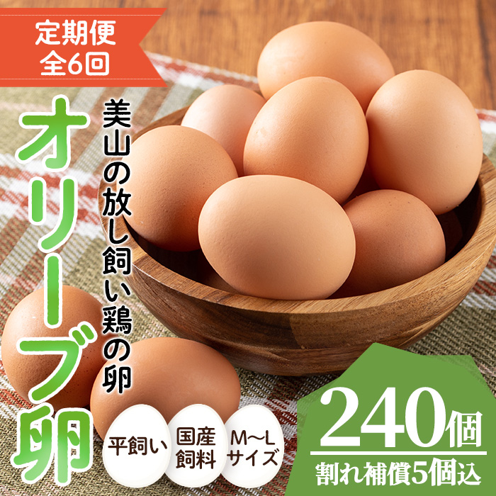 No.779 ＜全6回・定期便＞鹿児島県産美山オリーブ卵(40個×6回