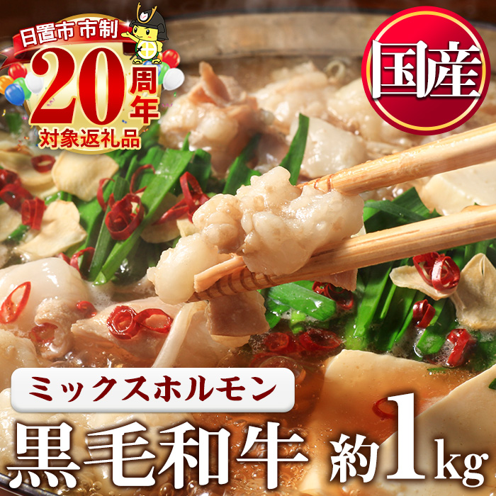 No.1001-01 黒毛和牛ミックスホルモン(計1kg) 国産 九州産 牛肉
