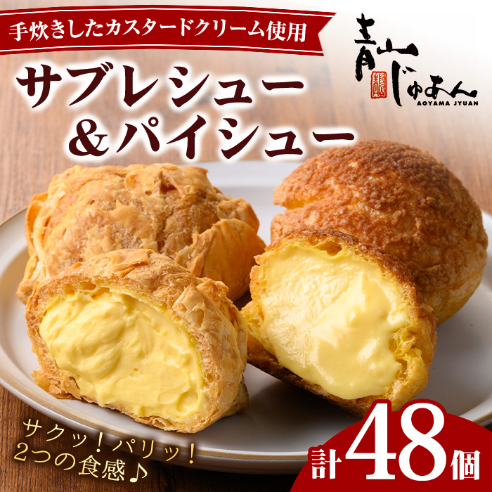 No.1049-D 薩摩77万石溶岩サブレシュー＆パイシュー(48個入) 【