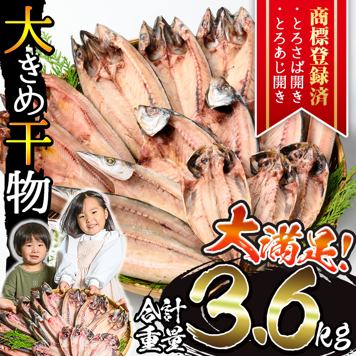 No.406-B 大きめ干物詰合せ＜合計3.6kg＞ 干物 セット 詰め合わ
