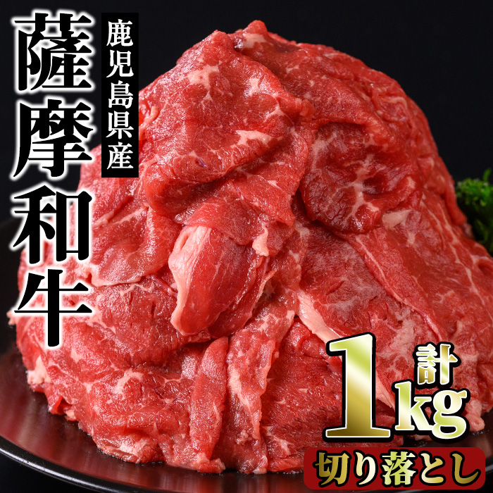 No.1142-B 薩摩和牛切り落とし(計1kg・500g×2P) 【さつま屋産業