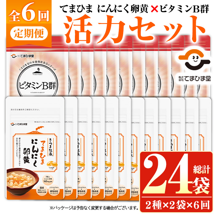 No.1298-B ＜定期便・全6回(隔月)＞活力セット(てまひま にん