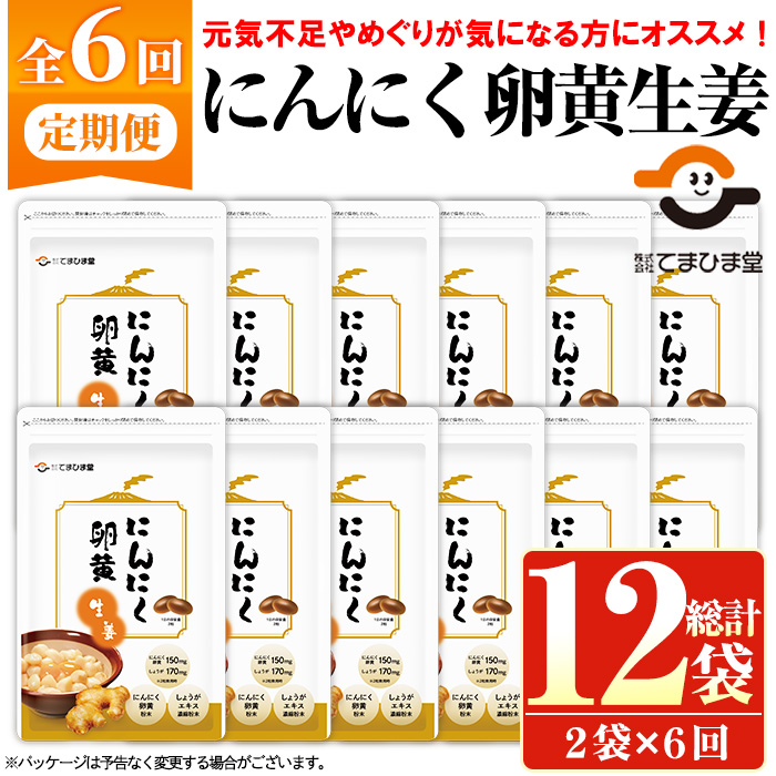 No.1285-B ＜定期便・全6回(隔月)＞てまひま にんにく卵黄生姜