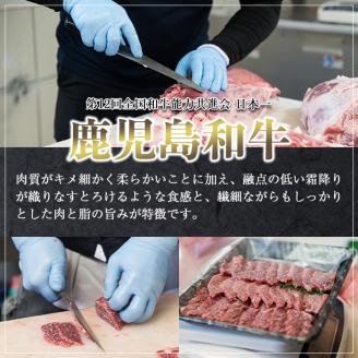 鹿児島和牛赤身スライス(500g)【居食肉】A451-v01