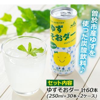 曽於市産ゆずを使った炭酸飲料！ゆずそおダー(計60本)【ファーマーズマーケットそお太くん市場】A97-v01