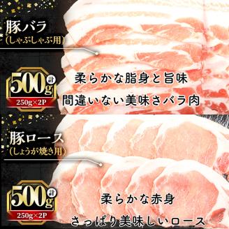鹿児島県産「天恵美豚」豚バラ・ロース・肩ロース・モモ・ウデ(250g×12P・計3kg)【アグリおおすみ】B142-v01