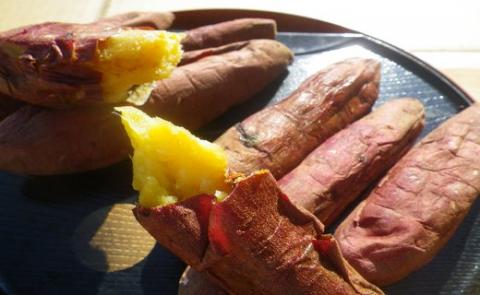 わたしのお芋さまセット！冷凍焼芋(500g×3個)と干し芋(160g×2個) 芋 焼き芋 干し芋【吉川農園】A86-v01