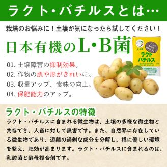 乳酸菌土壌改良剤「ラクト・バチルス」(400g×2袋)【日本有機】A382-v01