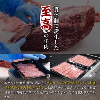 鹿児島県産黒毛和牛(A5等級)赤身ステーキ(300g×1P)＆赤身焼肉(200g×1P) 合計500g【カミチク】A327-v01