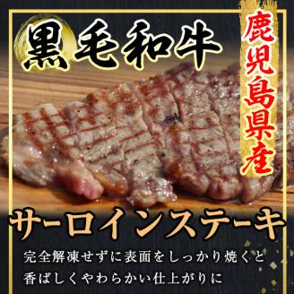 鹿児島県産 A5等級 黒毛和牛 サーロインステーキ (200g×2P・計400g) 国産 牛肉 ステーキ【アグリおおすみ】B155-v01