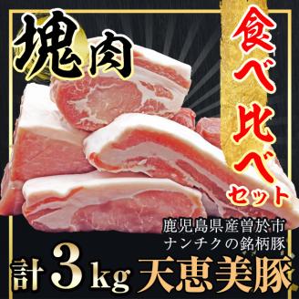 鹿児島県産「天恵美豚」！BBQ ブロック セット 豚バラ・ロース・肩ロース・モモ・ウデ(計3kg) 国産 豚肉 食べ比べ【アグリおおすみ】B154-v01