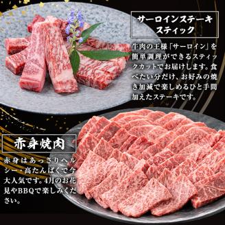 ＜定期便・全4回＞カミチク お試し黒毛和牛定期便 【カミチク】T9-v01