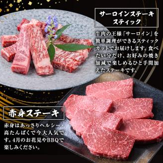 ＜定期便・全5回＞カミチク 特選黒毛和牛定期便 【カミチク】T10-v01