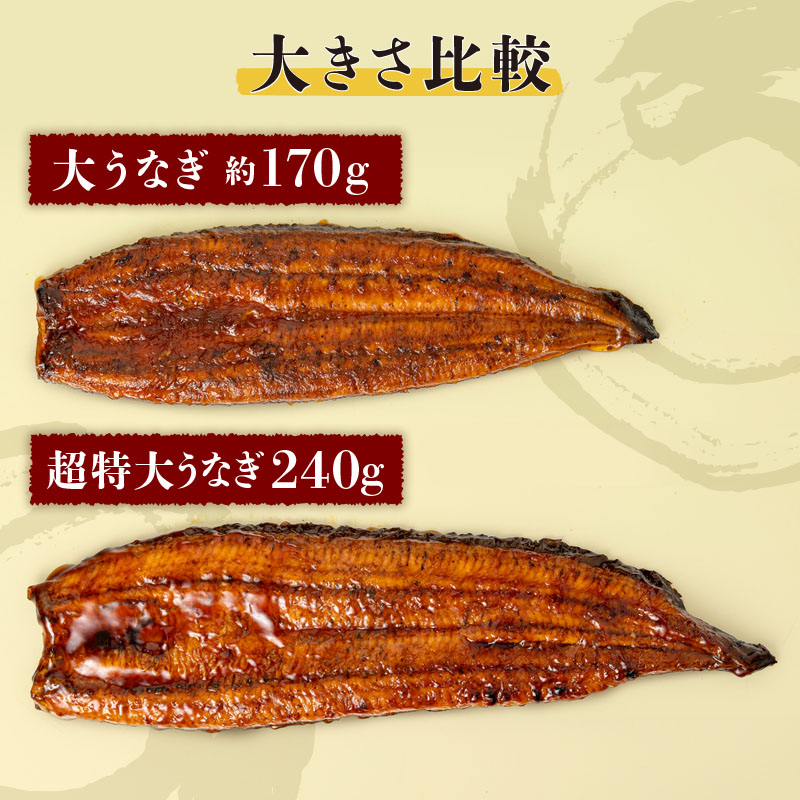 鹿児島産超特大うなぎ蒲焼(無頭) (計240g以上・240g以上×1尾) 鰻 蒲焼き 真空パック【株式会社財宝】A1041