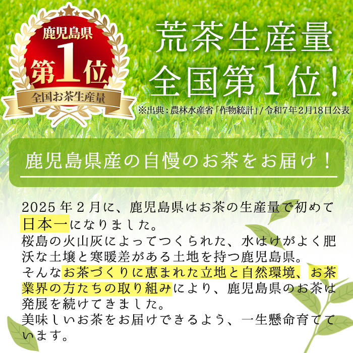 ＜お茶生産量日本一の鹿児島県産！＞小さいお茶屋の旨味の強い深蒸し茶～姫椿～(茶葉100g×2本・合計200g) 【お茶の山口園】A187-v01