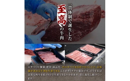 鹿児島県産黒毛和牛(4～5等級)ヒレステーキ2種盛り(合計480g・240g×2パック) 【カミチク】A231-v01