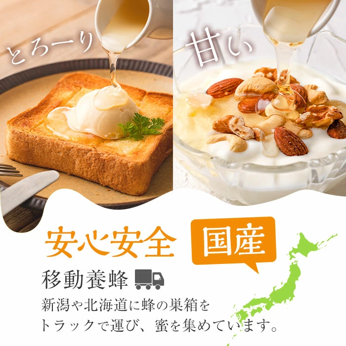 新屋養蜂場定番はちみつ2本セット(シナはちみつ500g、百花はちみつ500g) 蜂蜜 ハチミツ 純粋はちみつ 【新屋養蜂場】A430-v02