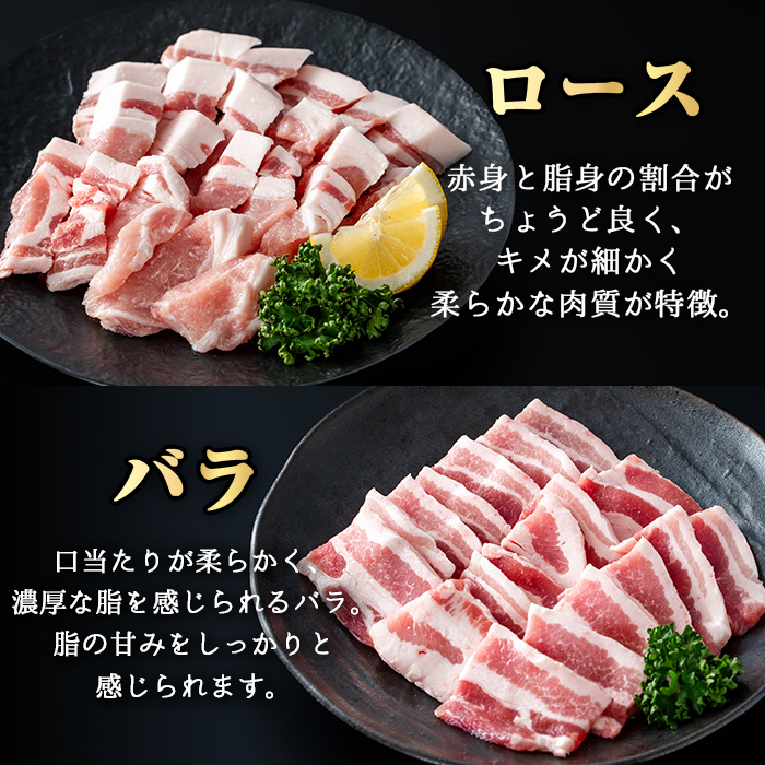 ＜内容量が選べる！＞かごしま味わい黒豚 焼き肉ファミリーパック (合計2.4kg) 鹿児島県産 豚肉 黒豚 【KNOT】 A556 【合計2.4kg】