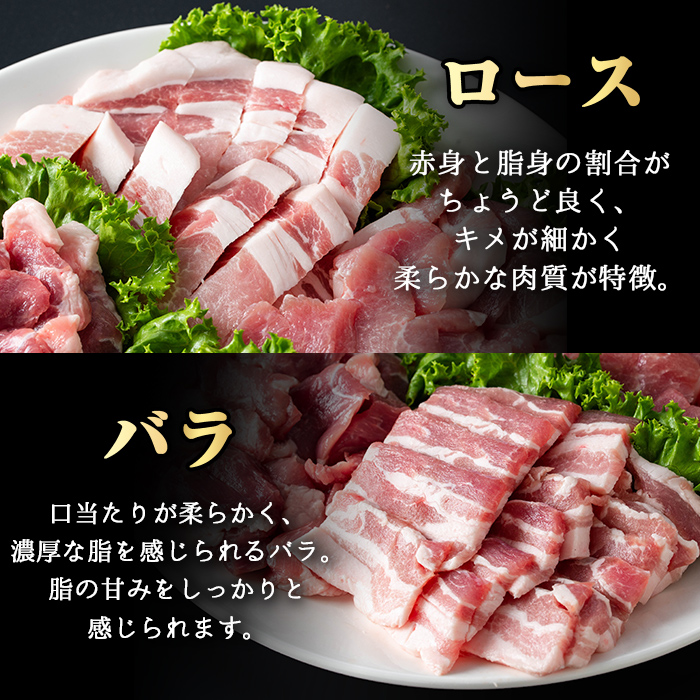 ＜内容量が選べる！＞鹿児島県産霜降りトロ豚 焼き肉用バラエティセット (合計1kg) 鹿児島県産 豚肉 霜降り 【KNOT】 A564 【合計1kg】