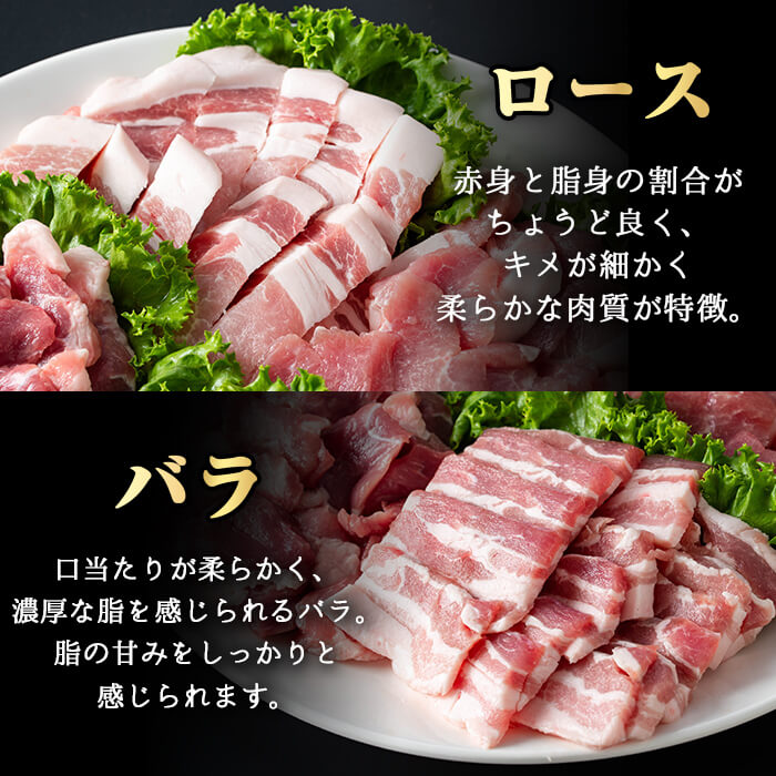 ＜内容量が選べる！＞鹿児島県産霜降りトロ豚 焼き肉用バラエティセット (合計3kg) 鹿児島県産 豚肉 霜降り 【KNOT】 A566 【合計3kg】