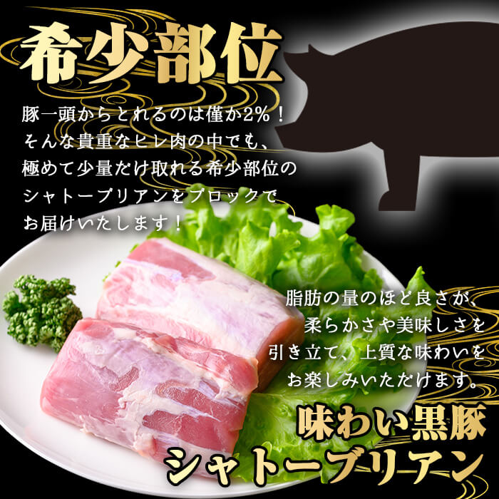 ＜内容量が選べる！＞かごしま味わい黒豚希少部位 極みシャトーブリアン (300g)【KNOT】 A619 300g