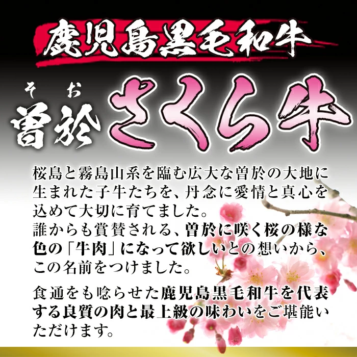 曽於さくら牛 贅沢な切り落とし(合計500g) 黒毛和牛 切り落とし 冷凍【福永産業】A660