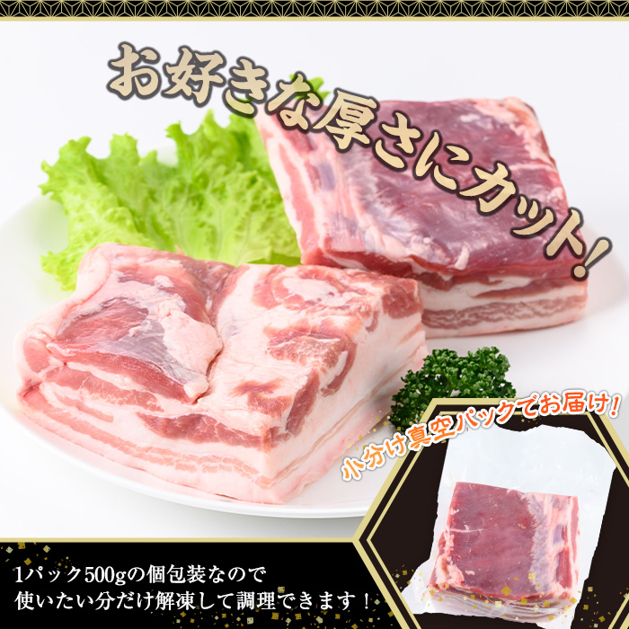 鹿児島県産豚肉バラブロック(計1.5kg・500g×3P) 豚肉 豚バラ 小分け【株式会社羽根】A723