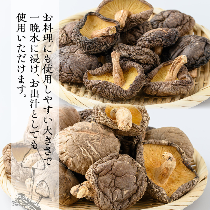 ＜選べる内容量！＞ギフト用 乾しいたけ (80g) シイタケ きのこ 常温【九南サービス(タマチャンショップ)】A739 80g