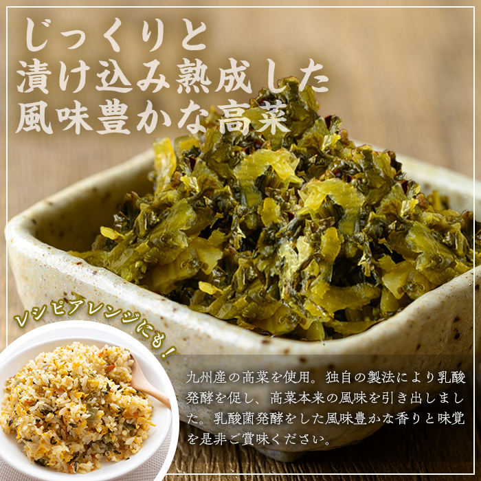 九州たかな(計2kg・200g×10袋) お漬物 高菜 常温【曽於市観光協会】A743