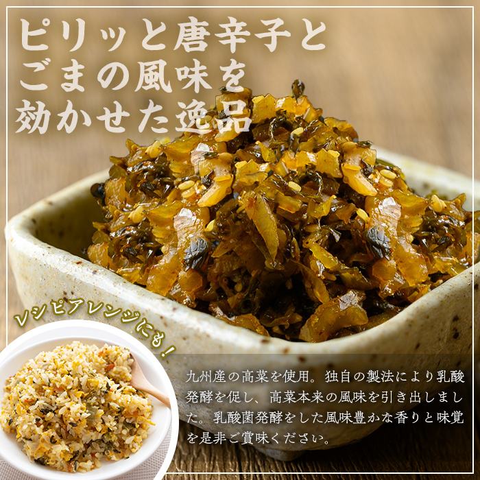 辛子たかな(計1.5kg・150g×10袋) お漬物 高菜 常温【曽於市観光協会】A744