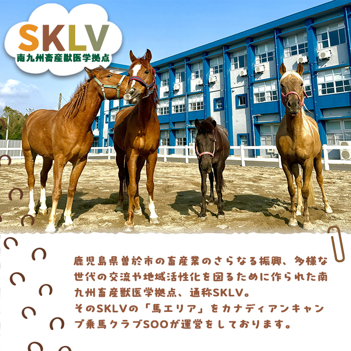 【乗馬体験チケット】ミニ遠乗り20分～初心者向け、5歳以上～(1名様) 体験 乗馬 チケット【曽於市観光協会】 A783