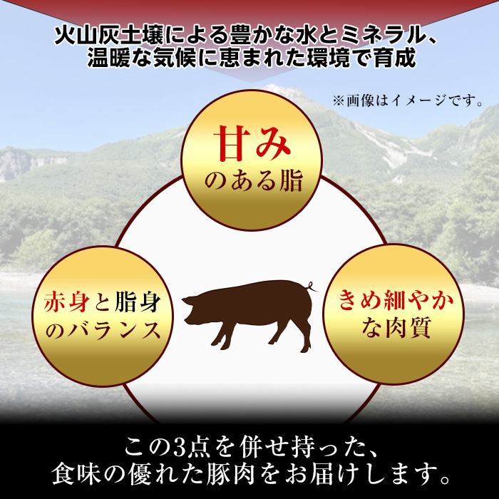 鹿児島県産豚 小間切れ肉 (600g) 豚肉 バラ スライス【小迫ストアー】A865 600g
