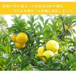 【テレビで紹介されました！】ゆず製品バラエティセット！ゆずドリンクやドレッシングなど(6種セット) 【メセナ食彩センター】A92-v01