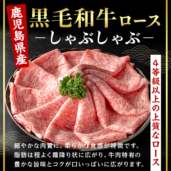 ＜14営業日以内発送！＞＜選べる内容量！＞鹿児島県産黒毛和牛ロース しゃぶしゃぶ用セット (計500g・500g×1) 国産 牛肉 しゃぶしゃぶ【肉のちょーさん】A953 500g
