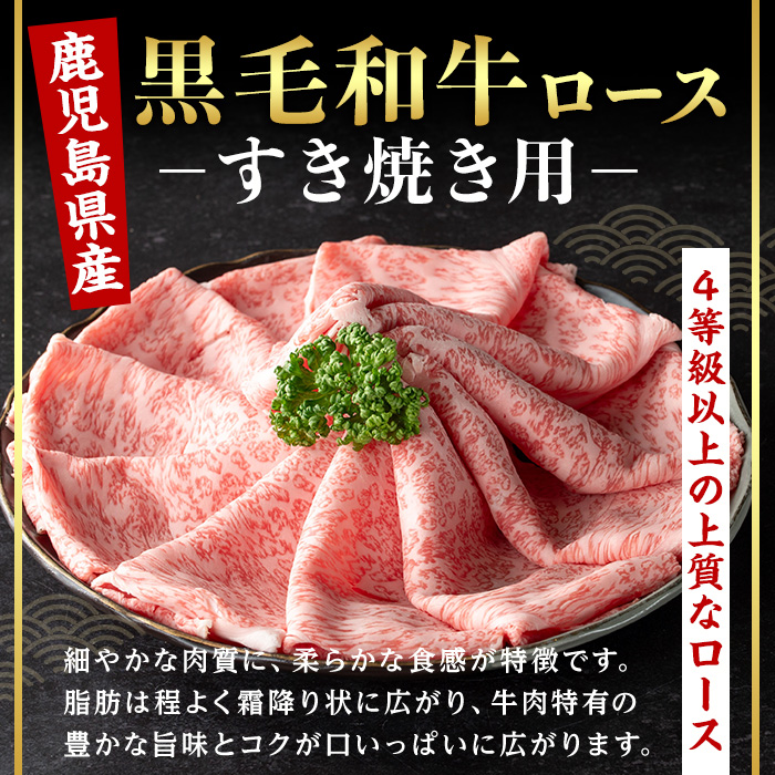 ＜14営業日以内発送！＞＜選べる内容量！＞鹿児島県産黒毛和牛ロース すき焼き用セット (計500g・500g×1) 国産 牛肉 すき焼き【肉のちょーさん】A955 500g