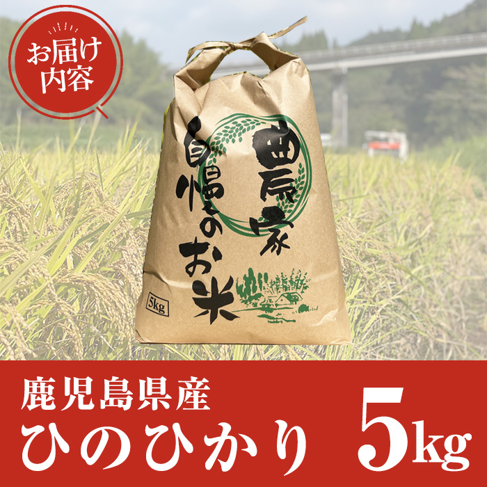 鹿児島県産ひのひかり(5kg) 【薪屋 薪の助】A960-v01