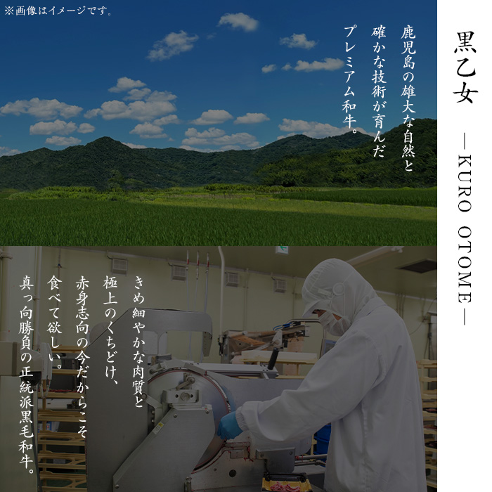 鹿児島黒牛 黒乙女 和牛モモスライス(500g) 黒毛和牛 黒牛 鹿児島県産【ナンチク】A965