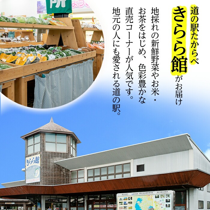 ＜先行予約受付中・2025年10月中旬より順次発送予定＞＜選べる内容量！＞たからべきらら米(10kg) 米 お米 白米【道の駅たからべきらら館】 B201 【計10kg】