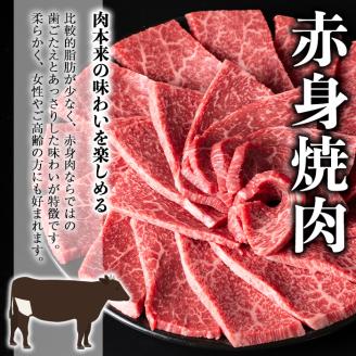 鹿児島和牛赤身焼肉(500g)【居食肉】A450-v01