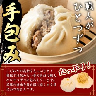 鹿児島県産 プレミアム手包み黒豚まん(計10個) 【アグリおおすみ】A78-v01