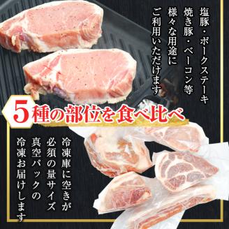 鹿児島県産「天恵美豚」！BBQ ブロック セット 豚バラ・ロース・肩ロース・モモ・ウデ(計3kg) 国産 豚肉 食べ比べ【アグリおおすみ】B154-v01