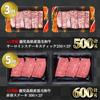 ＜定期便・全5回＞カミチク 特選黒毛和牛定期便 【カミチク】T10-v01