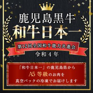鹿児島県産 A5等級 黒毛和牛 サーロインステーキ (200g×2P・計400g) 国産 牛肉 ステーキ【アグリおおすみ】B155-v01
