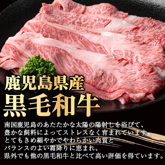 鹿児島黒毛和牛 鹿児島黒豚しゃぶしゃぶセット(300g×2P・計600g)【ナンチク】A1-v01
