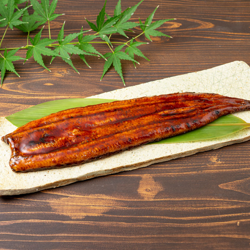 鹿児島産超特大うなぎ蒲焼(無頭) (計240g以上・240g以上×1尾) 鰻 蒲焼き 真空パック【株式会社財宝】A1041