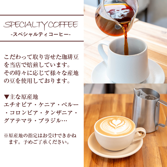 ドリップバッグコーヒーセット ー浅煎りー (計8個・10g×8) コーヒー 珈琲 浅煎り【しんしろ珈琲】A1079